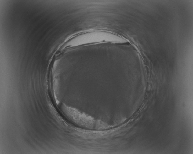 X0000082970002200702230019