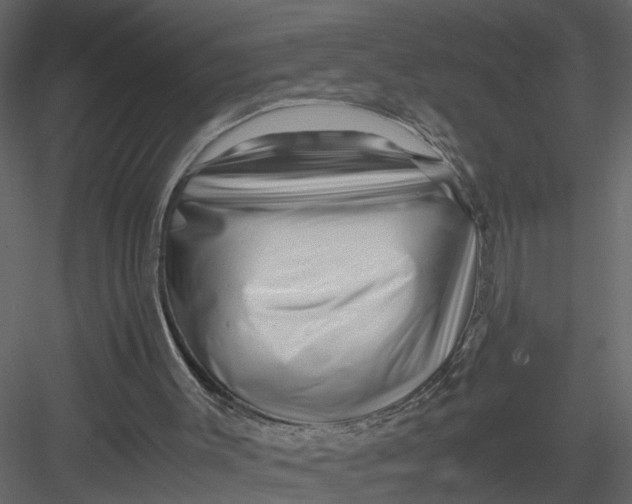 X0000082970003200702230019