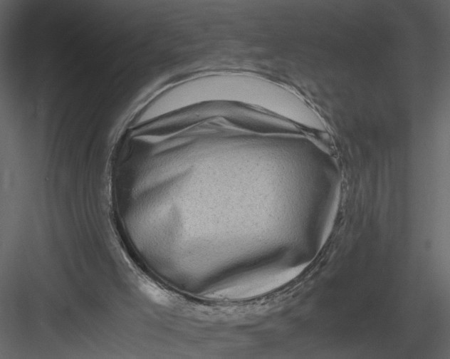 X0000082970005200702230019