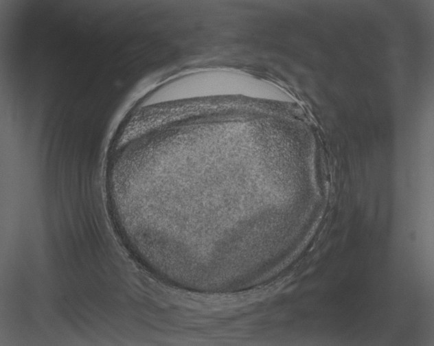 X0000082970006200702230019