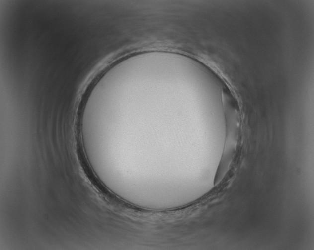 X0000082970007200702230019