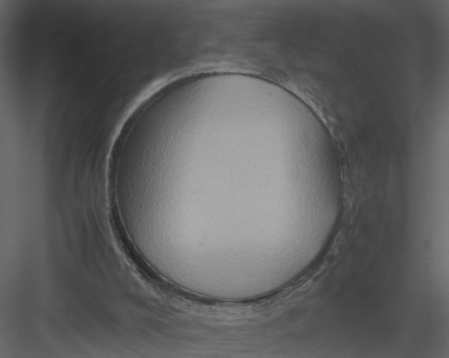 X0000082970008200702230019