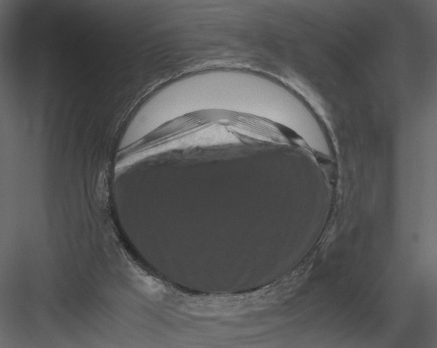 X0000082970009200702230019