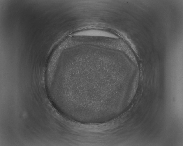 X0000082970010200702230019