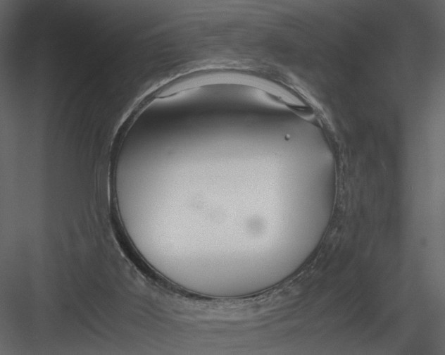 X0000082970011200702230019