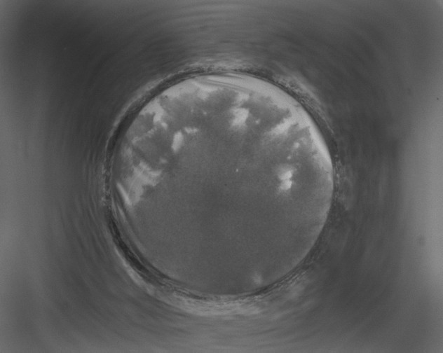 X0000082970012200702230019