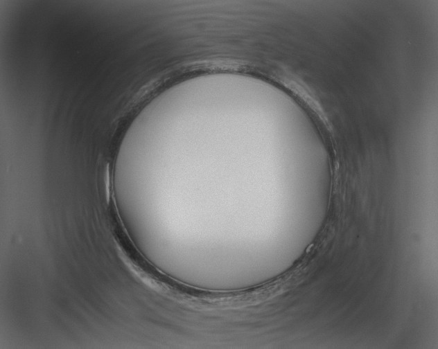 X0000082970013200702230019