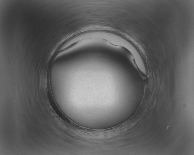 X0000082970015200702230019