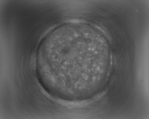 X0000082970016200702230019