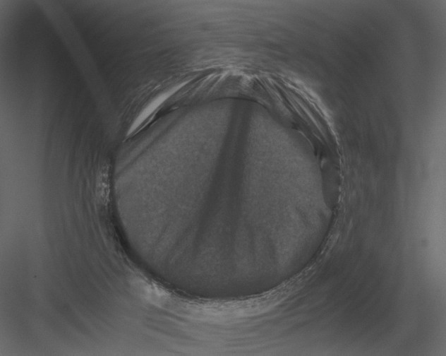 X0000082970017200702230019