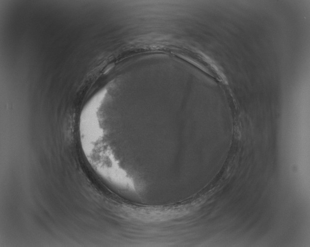 X0000082970018200702230019