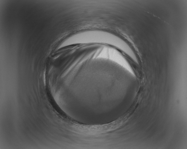 X0000082970019200702230019