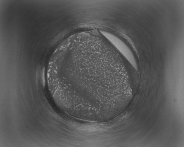 X0000082970020200702230019