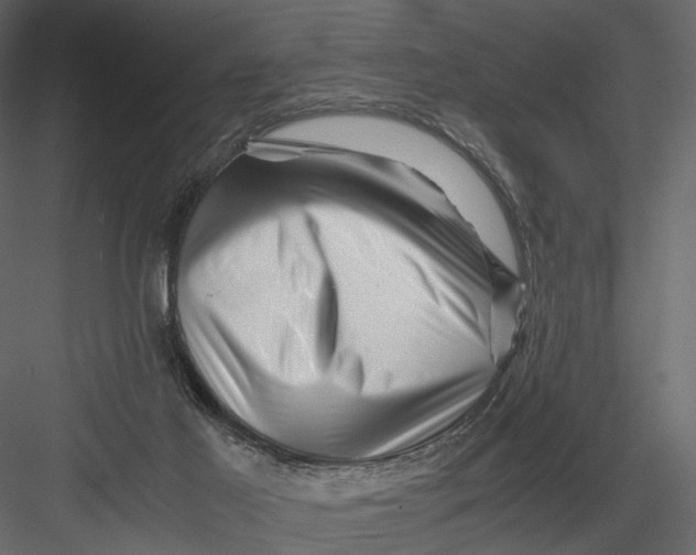 X0000082970021200702230019