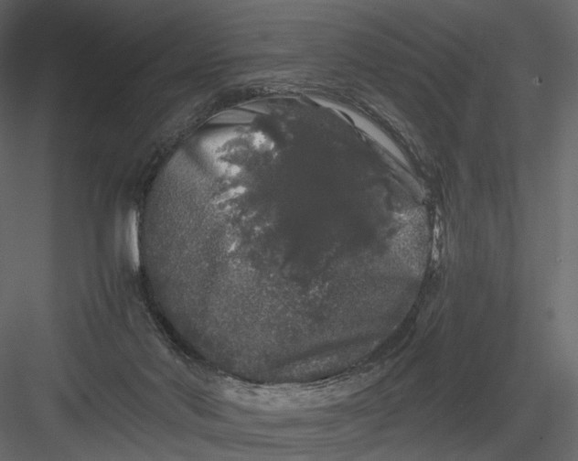 X0000082970022200702230019