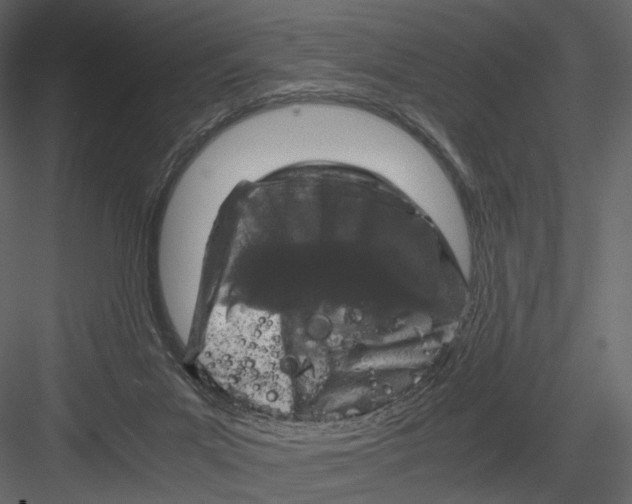 X0000082970023200702230019