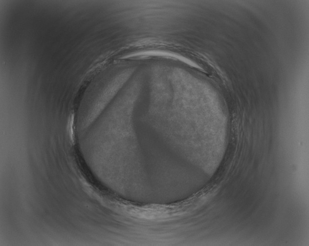 X0000082970024200702230019