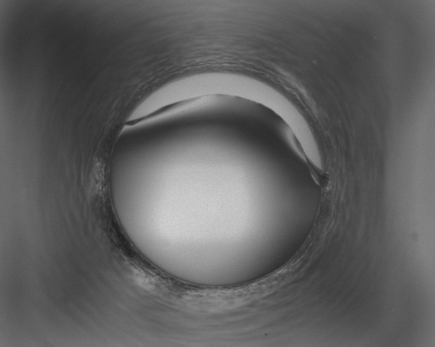 X0000082970025200702230019