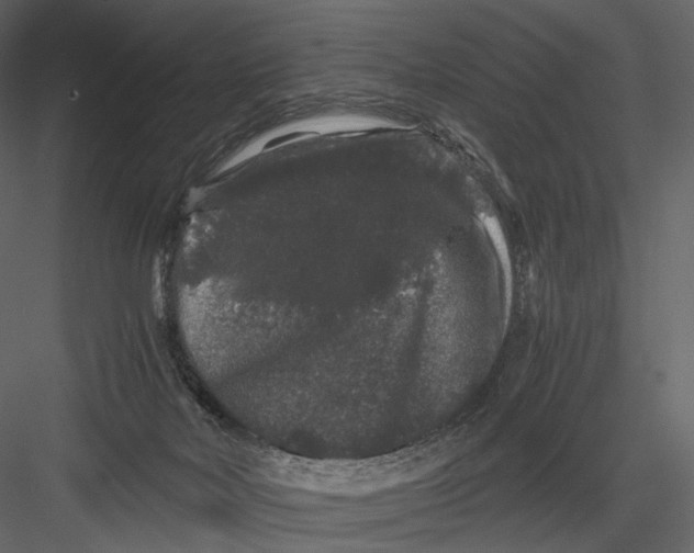 X0000082970026200702230019