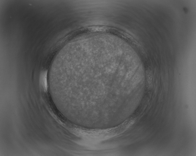 X0000082970028200702230019