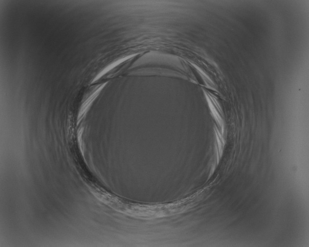 X0000082970029200702230019