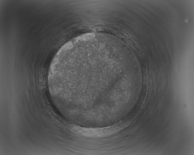 X0000082970030200702230019