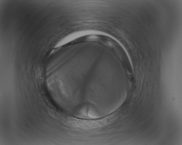 X0000082970031200702230019