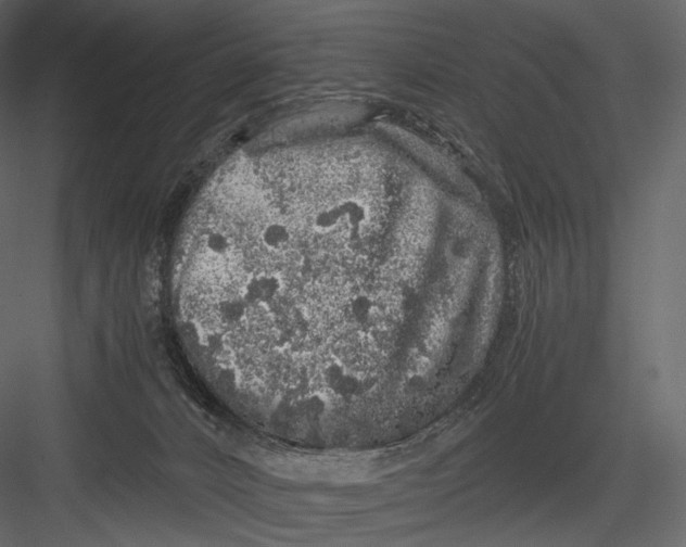 X0000082970032200702230019