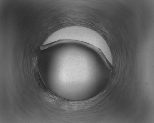 X0000082970033200702230019