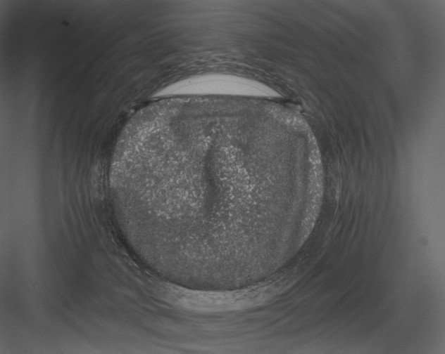 X0000082970034200702230019