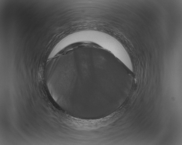 X0000082970035200702230018