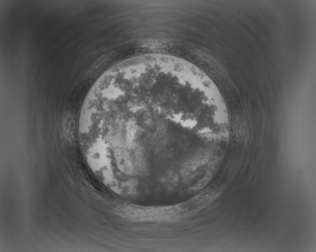 X0000082970036200702230018