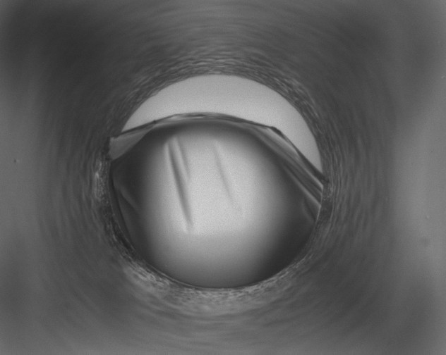 X0000082970037200702230018