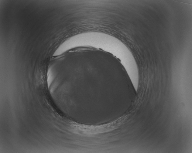 X0000082970039200702230018