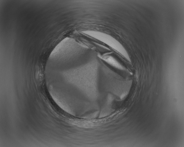 X0000082970040200702230018