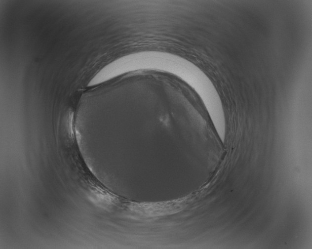 X0000082970041200702230018