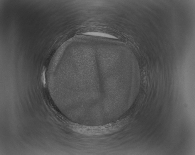 X0000082970042200702230018