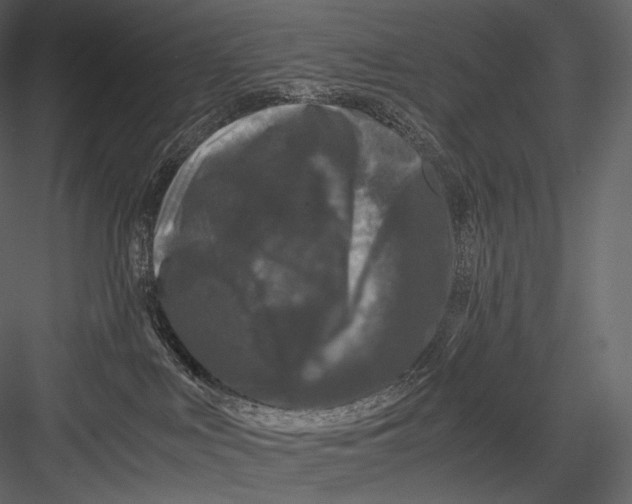 X0000082970043200702230018