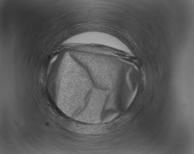 X0000082970044200702230018