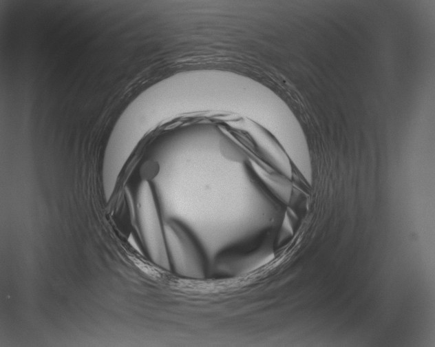 X0000082970045200702230018