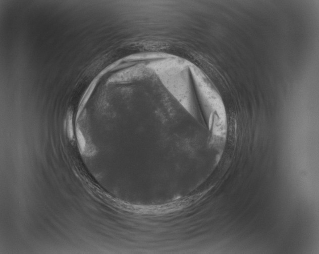 X0000082970046200702230018