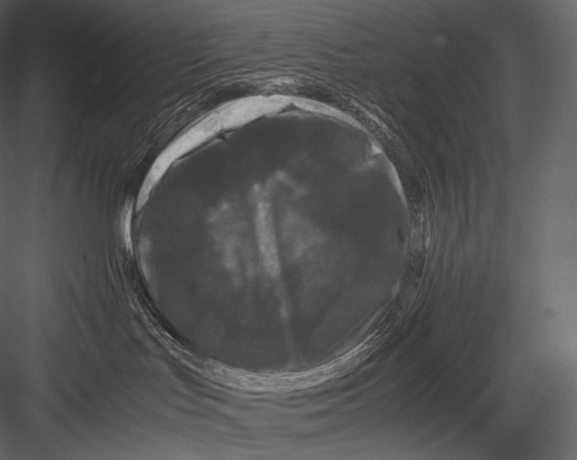 X0000082970047200702230018