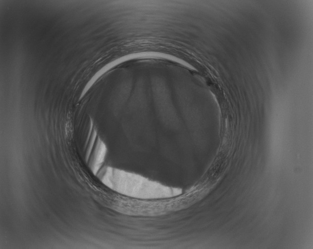 X0000082970048200702230018