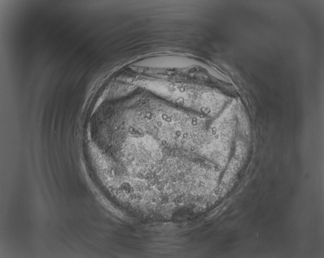 X0000082970049200702230017