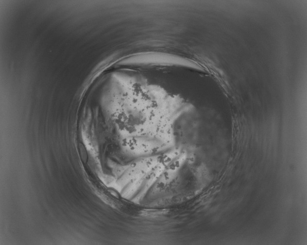 X0000082970051200702230017