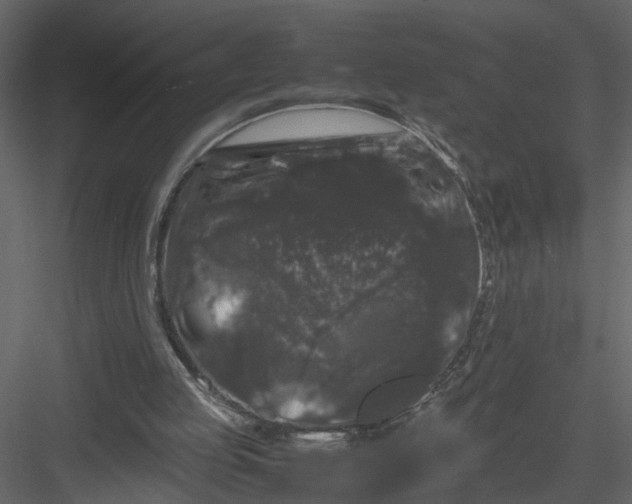 X0000082970053200702230018