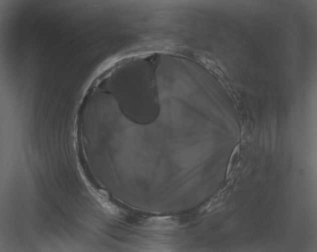 X0000082970054200702230018