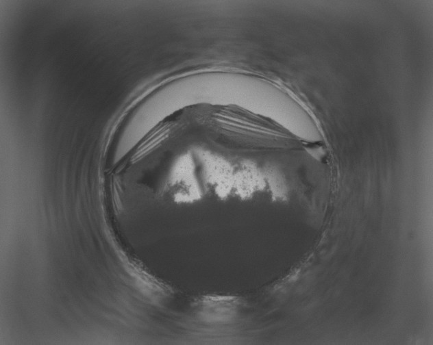 X0000082970055200702230018