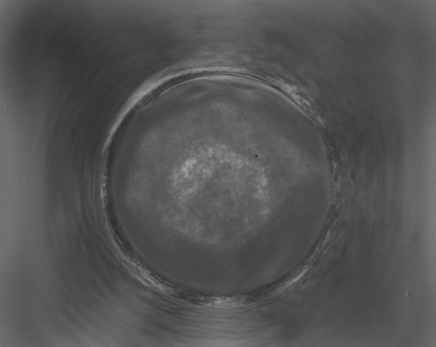 X0000082970056200702230018