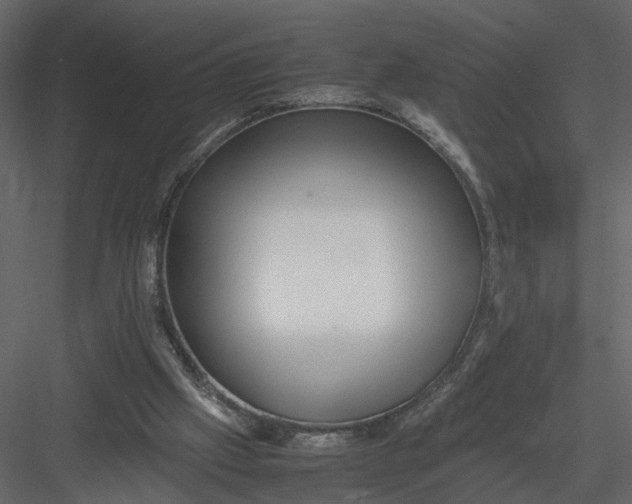 X0000082970057200702230018